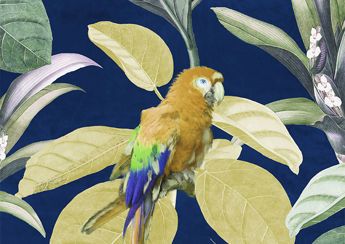 Parrot, Mangrove - Roman Blind - Image 7